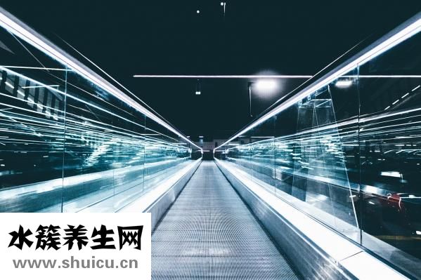 小米山药红枣粥