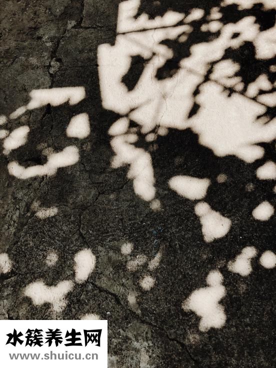 宣肺和清肺的区别