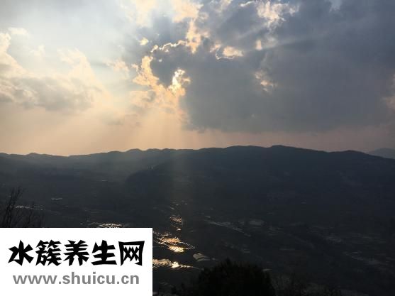 云南中草药