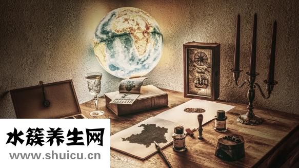 小细胞低色素性贫血