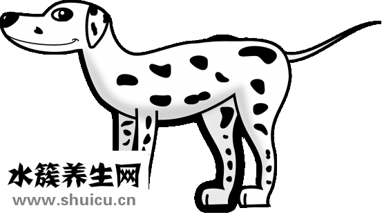 心跳一分钟