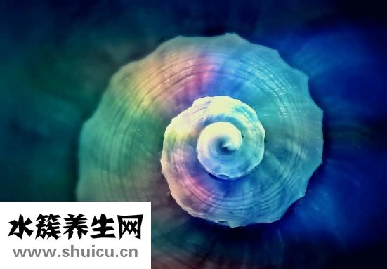 咖啡加牛奶