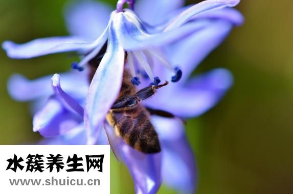 怎么预防乳腺癌