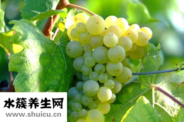 怎么测血糖