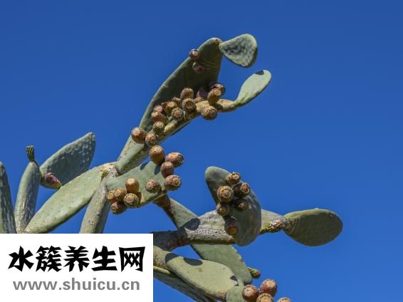 剩饺子怎么做好吃
