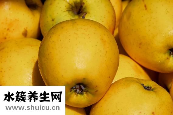 孕妇能吃西兰花吗