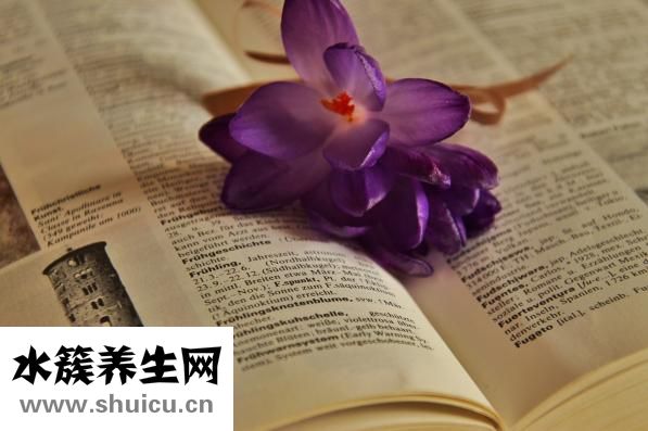 孕妇可以吃龟苓膏吗