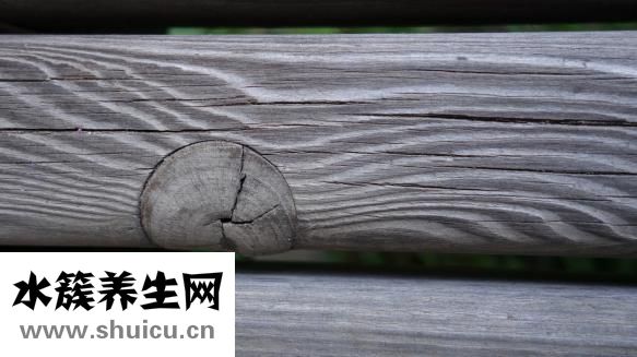 什么是贡菜