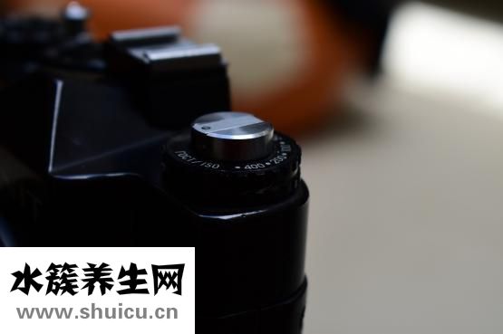 晕车吃什么