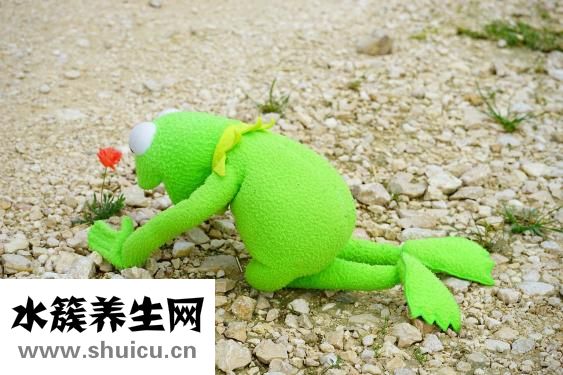 一饿就心慌