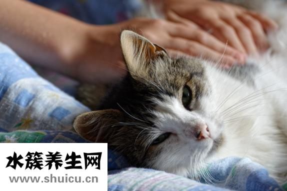 哺乳期可以跑步吗