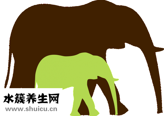 婴儿乳糖不耐受