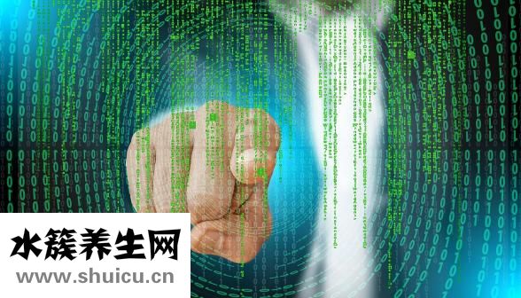 扇贝肉怎么处理干净