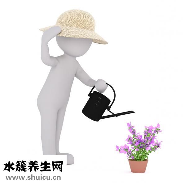 小米山药粥