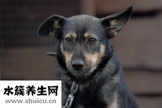 孕妇鼻塞怎么办
