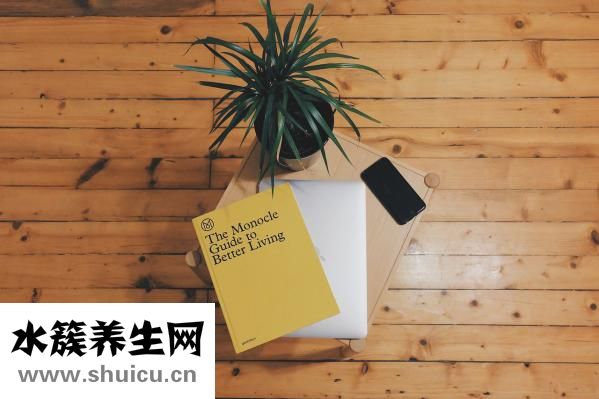 一天洗一次头发好吗