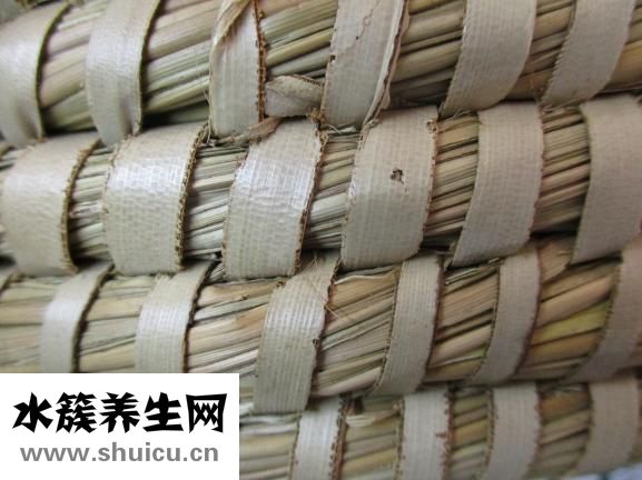 带黄是什么中药