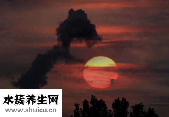 什么是笑气