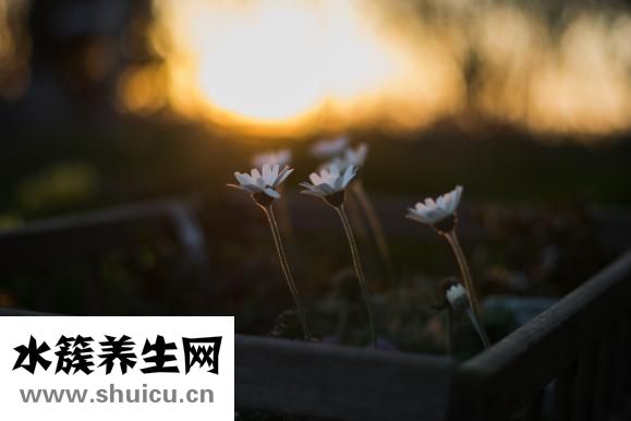 夜间小便多怎么办