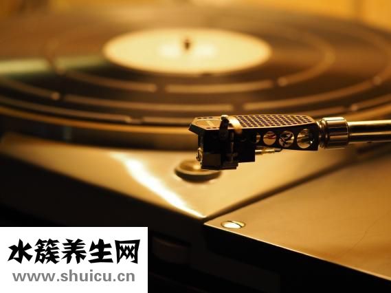 双肾盂是什么意思
