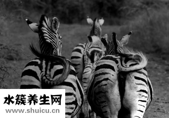 怎么打屁股疼