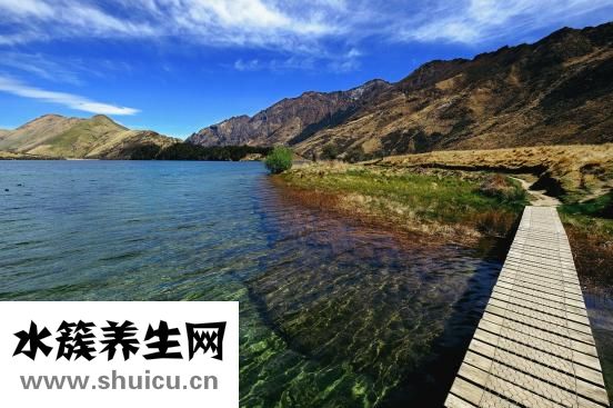 喝枸杞会上火吗