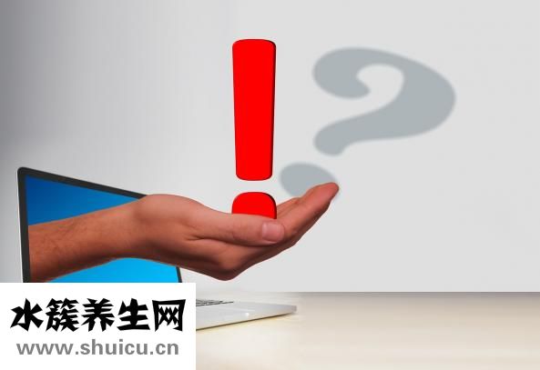 掌中宝是什么部位