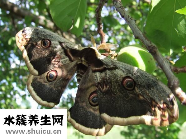 怎么量脚的尺寸