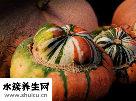 晚上吃什么不长胖