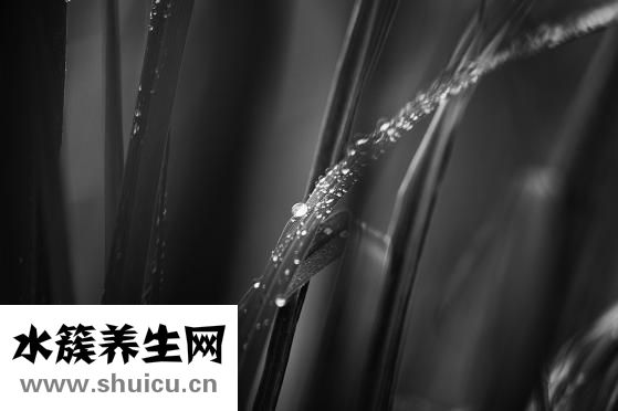 一周期等于多少天