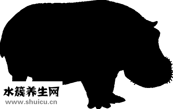 塌鼻子图片