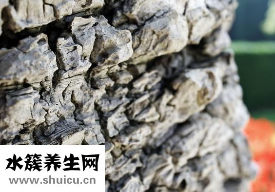 手掌每个部位名称