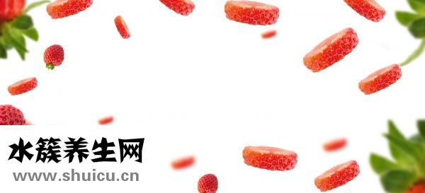 女性脱发食疗