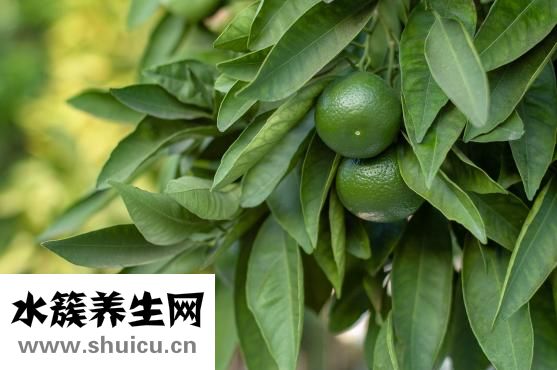 怎样提高性欲