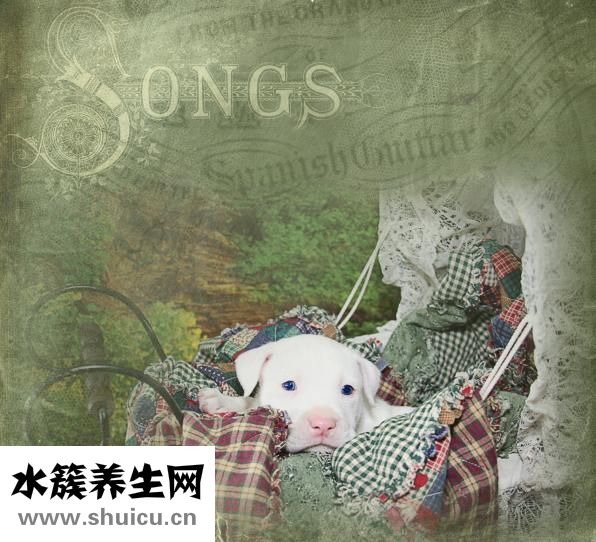 儿童体能训练