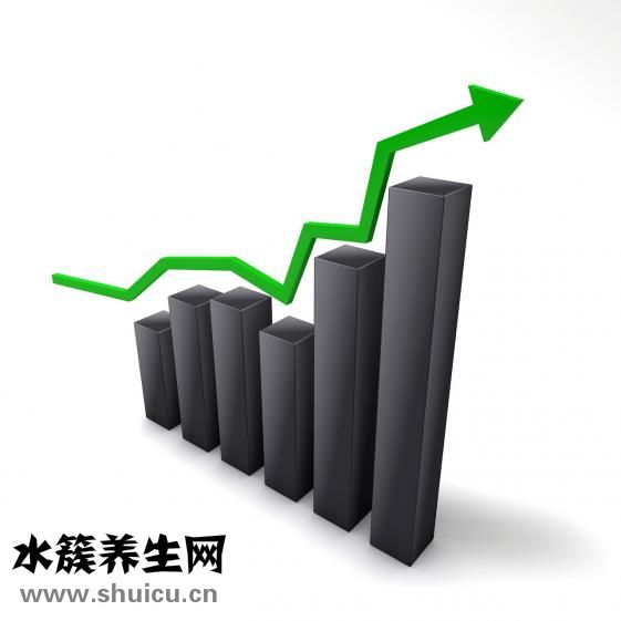 什么花好养又好看