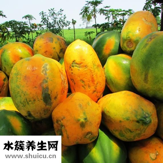 吃木瓜能丰胸吗