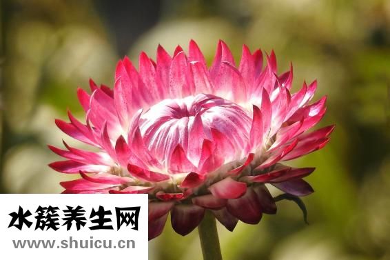 一受凉就拉肚子