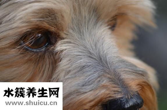 怎么治鼻塞