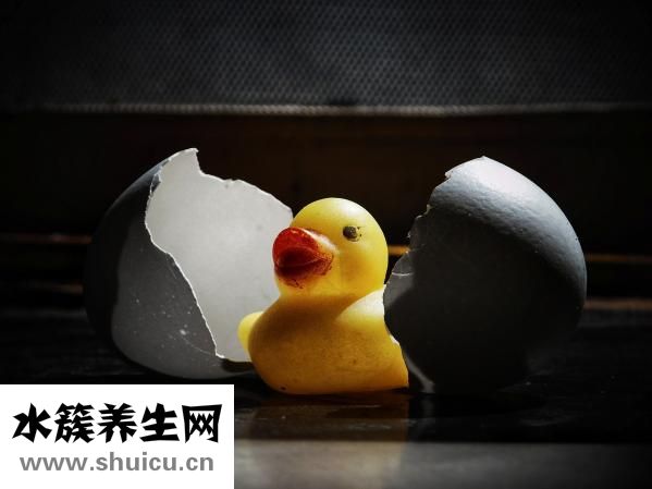 晚上吃鸡蛋