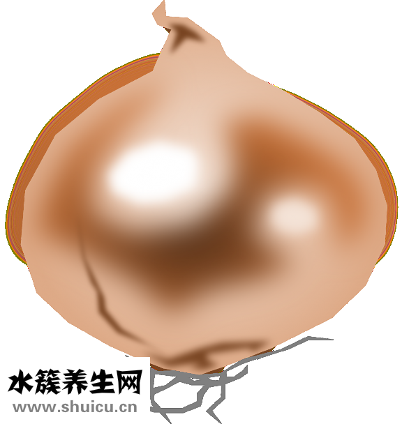 云南白药胶囊成分