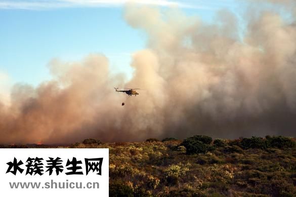 失眠多梦吃什么
