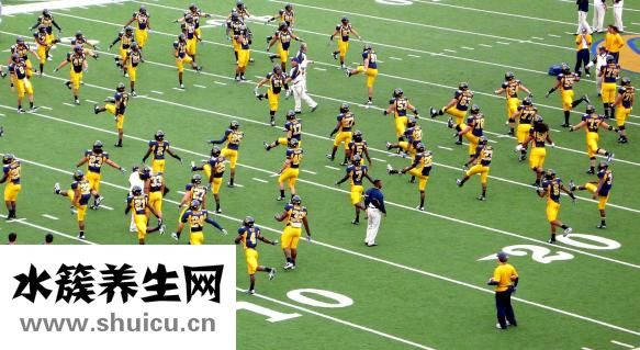 体脂率计算公式