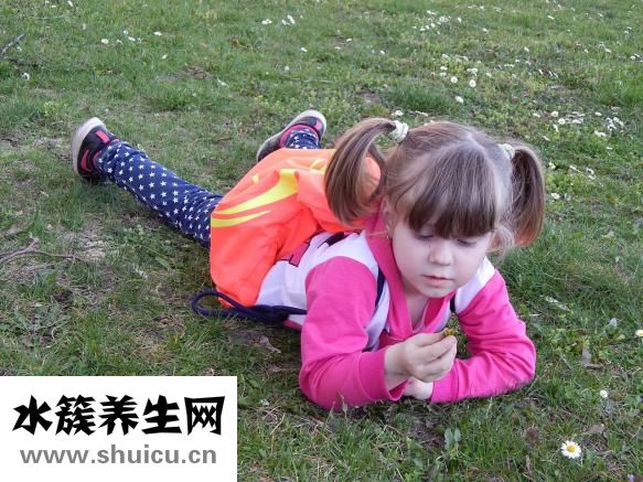 新生儿奶粉排名