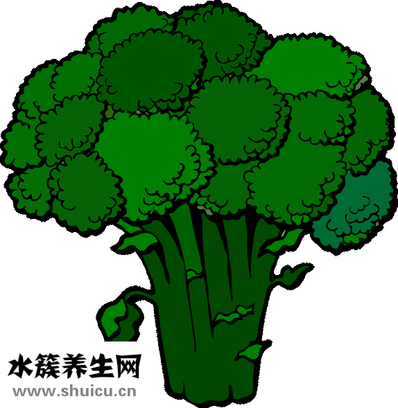 什么食物含叶酸最多