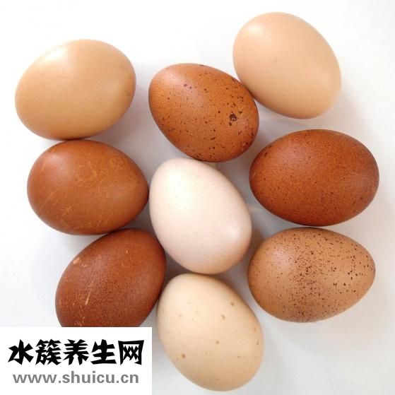 怎么看鸡蛋坏没坏