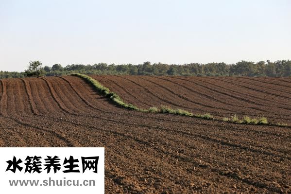 无骨鸡爪怎么去骨