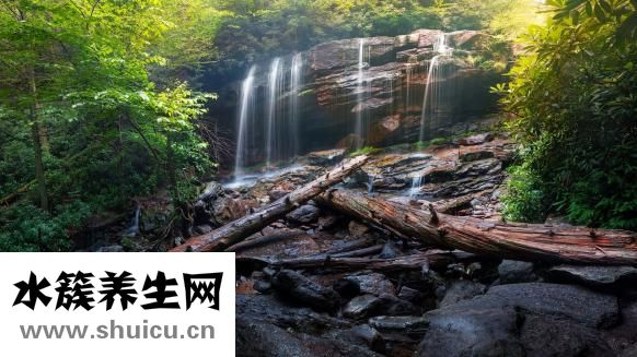 卵巢纤维瘤