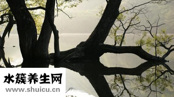 宫颈腺体囊肿