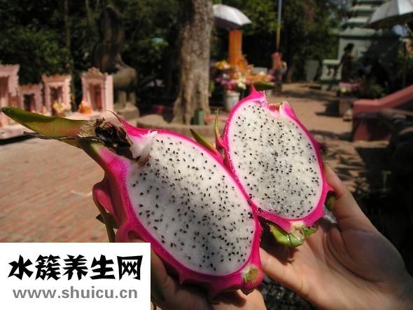 一个火龙果多少克